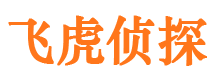 东丰私家调查